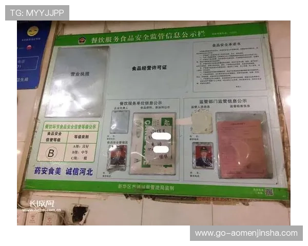 奥门金沙网页安全可靠平台推荐保障玩家资金与信息安全